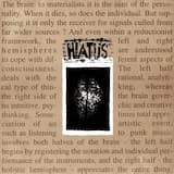 Down With The Ballot Box