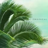 A Tropical