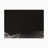 Enter the Bristle Strum