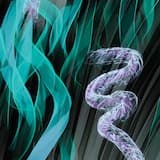 Chambers: Dream Collection