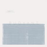 Buoyant One: Lost Trail