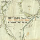 Piano Trio in D Major (Ghost), Op. 70 No. 1: I. Allegro vivace e con brio