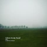 voices in my head