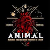 Una razón para seguir