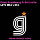Love Has Gone (New Vocal Radio Edit)