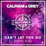 Can’t Let You Go (extended mix)