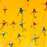 Turismo interno nacional