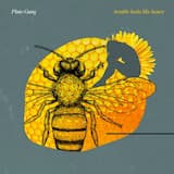 Trouble Looks Like Honey