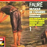 Sonate pour violon et piano №1 en la mineur, op. 13: Ⅰ. Allegro molto