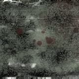 asks the voice of god,