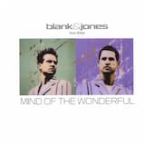 Mind of the Wonderful (RMB remix)