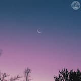 Sleeping Under the Stars