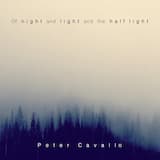 The Blue and the Dim and the Dark