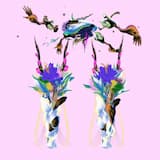 黑夢 Formosan Dream