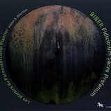 Fidicinium Sacro-profanum: Sonata I in h-moll, C. 78