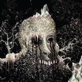 Triumph of Elimination