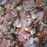 I Wanna Mix Tango With Battery Acid