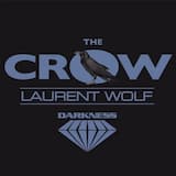 The Crow (Laurent Wolf & Monsieur Elle remix)