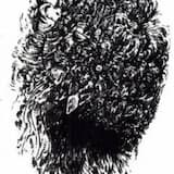 North Star Struck (Destroyed demo version)