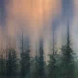 Is It Better To Know?