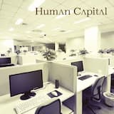 Phone Shui (生きるための仕事)