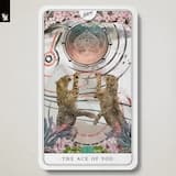 If You Never Loved Me