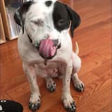 Can't Shake Distaste