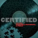 Certified (radio edit)