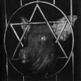 My Forests Of Magical Mysteries