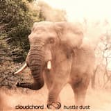 Hustle Dust