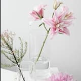 Beautiful Light Piano Solo (Main)