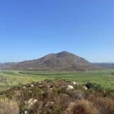 This &quot;We&quot; Shit