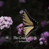 The Cradle of Life