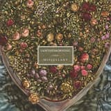 To Human Misery (Chamber version)