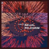 Circle of Liquid Ambers