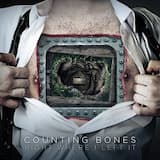 On The Wings Of Icarus