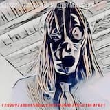 -.- .. .-.. .-.. / -.- .. .-.. .-.. / -.- .. .-.. ...