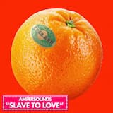 Slave to Love (J.Views vocal mix)