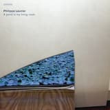 Napping in a Neglected Garden