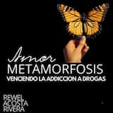 04 METAMORFOSIS