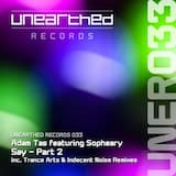 Say (Indecent Noise remix)