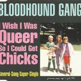 I Wish I Was Queer So I Could Get Chicks