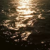 le gentil petit démon