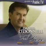 Can You Feel the Love