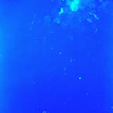 Spellbound [Ruffien Version]