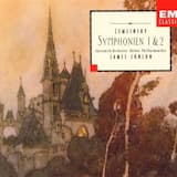 Sinfonie Nr. 1 d-moll: I. Allegro ma non troppo