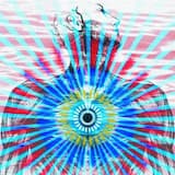 Purpose Patience Presence Openness Oneness