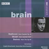 Quintet for Horn, Violin, 2 Violas and Violoncello in E-flat major, K. 407: I. Allegro