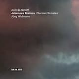 Sonata E-flat major, op. 120/2: I. Allegro amabile