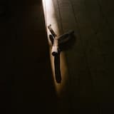 totally alive and totally invisible